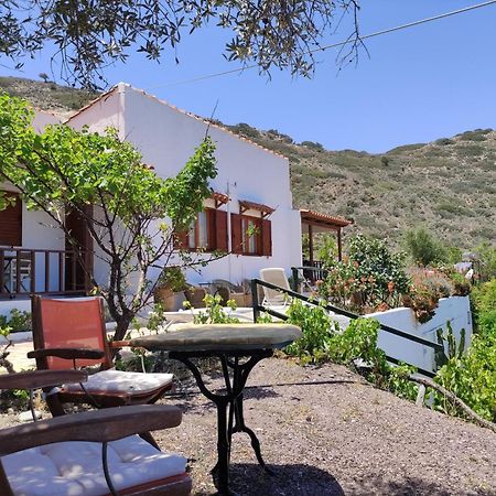 Limenaria Apartments Mochlos Exterior photo