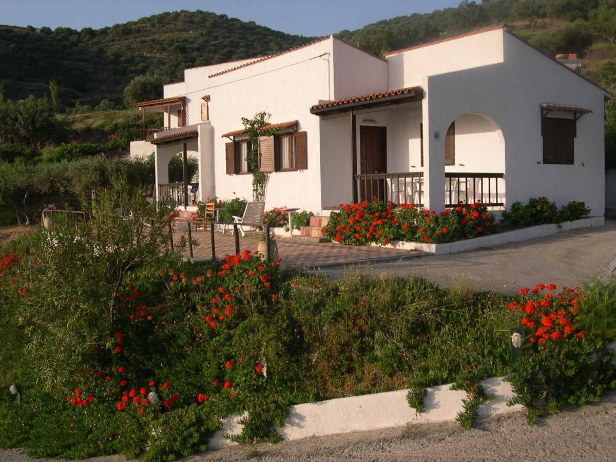Limenaria Apartments Mochlos Room photo